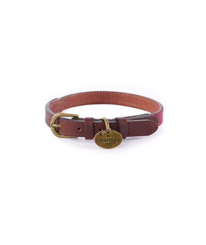 Colliers de chasse et accessoires Colliers de chasse et accessoires