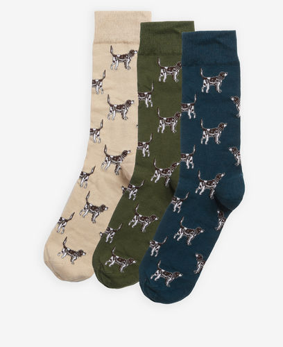 Chaussettes pointer forest mist