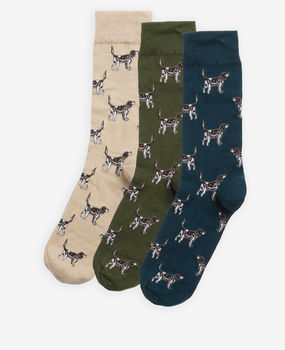 Pointer forest mist socks