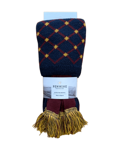 Chaussettes Regent navy avec garters