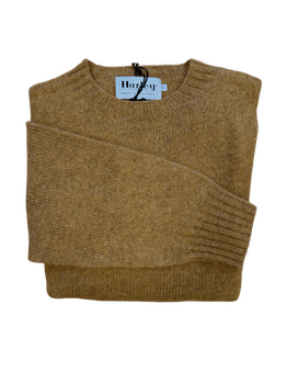 Pull col rond gold rust
