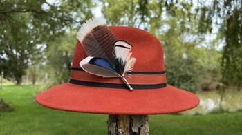 Plumes pour chapeaux n°5