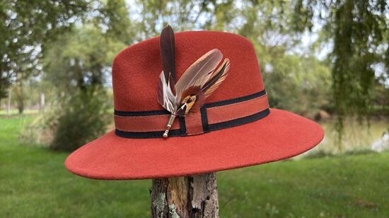 Plumes pour chapeaux n°6