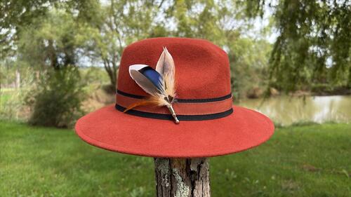 Plumes pour chapeaux n°7