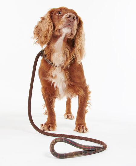 Laisse coulissante tartan