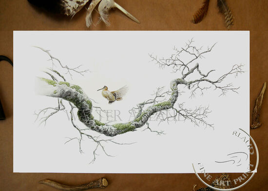 Tirage fine art étude Voltige