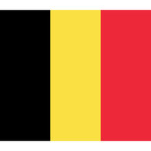 Petit drapeaux pays avec bâton fait en tissu de polyester 30x45 cm