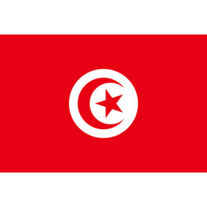 Petit drapeaux pays avec bâton fait en tissu de polyester 30x45 cm