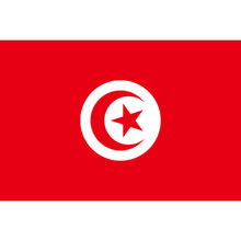 Petit drapeaux pays avec bâton fait en tissu de polyester 30x45 cm