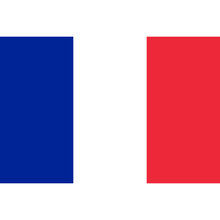 Petit drapeaux pays avec bâton fait en tissu de polyester 30x45 cm