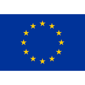 Petit drapeaux pays avec bâton fait en tissu de polyester 30x45 cm