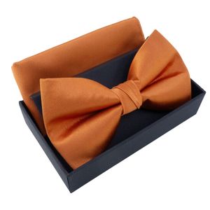 Nœud papillon en coffret avec pochette 100 % Polyester