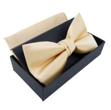 Nœud papillon en coffret avec pochette 100 % Polyester