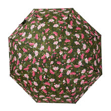 Parapluie pliant automatique à imprimé de motifs floraux vifs