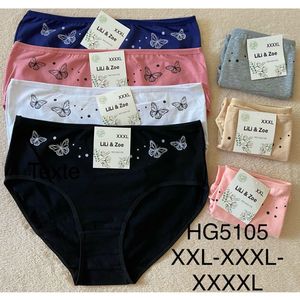 Culotte coton grande taille avec un motif de papillons - 12 pièces