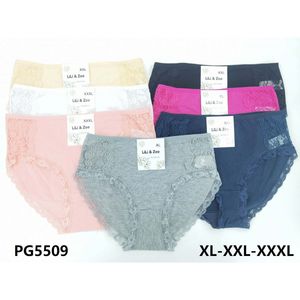 Culotte coton grande taille avec une finition en dentelle - 12 pièces