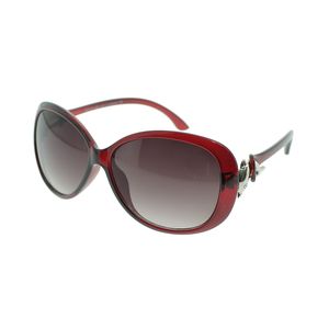 Lunettes de soleil élégantes avec tenons dauphin