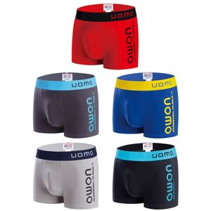 Boxer homme UOMO avec une ceinture élastique contrastée