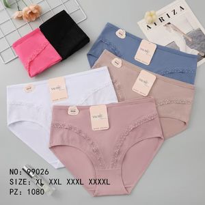 Culotte classique grande taille en coton avec finition dentelle