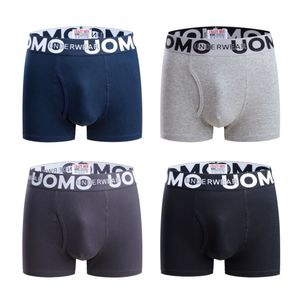 Boxer homme coton stretch UOMO couleur unie classique