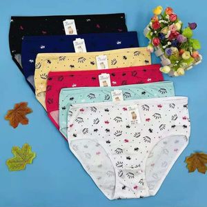 Culotte grande taille en coton à motifs de couronnes et pois