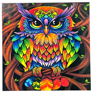 Kits de peinture par numéros 40x30 cm Hibou multicolore assis sur une branche