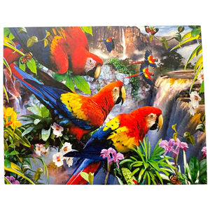 Kits de peinture par numéros 50x65 cm perroquets dans la jungle tropicale