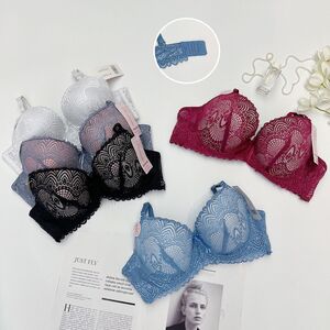 Soutien-gorge aux bonnets C push-up à motifs de broderie en dentelle